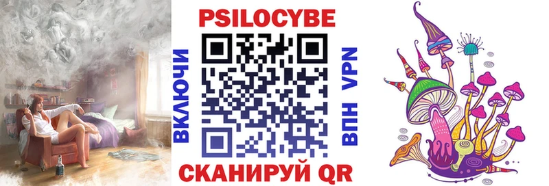 дарнет шоп  Сосновка  Галлюциногенные грибы мухоморы 
