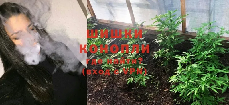 дарнет шоп  Сосновка  Шишки марихуана Ganja 